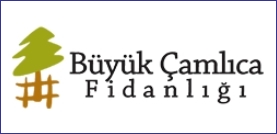 Büyük Çamlıca Fidanlığı